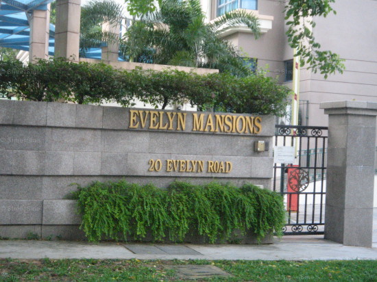 Evelyn Mansions (D11), Apartment #1149082
